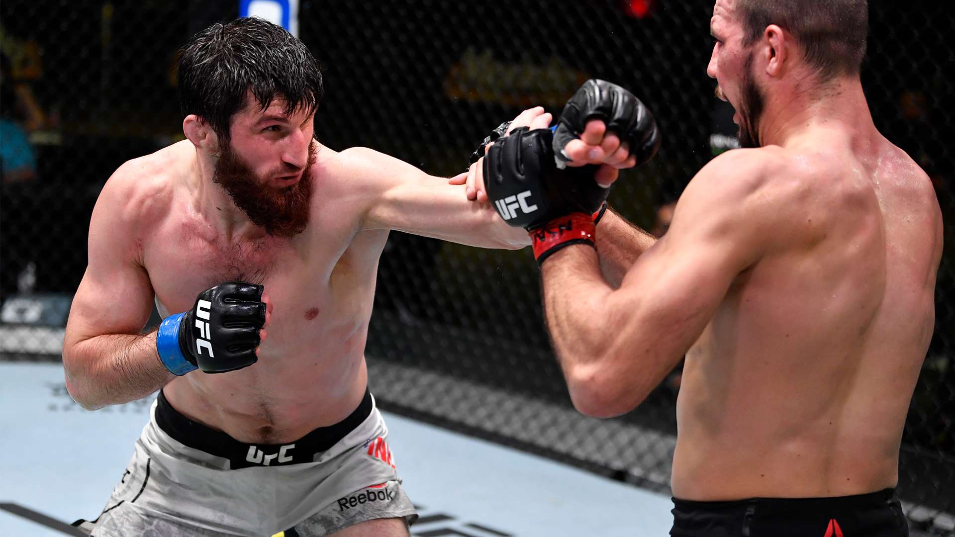 待的盛事 待的盛事